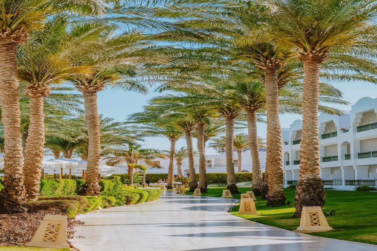Baron Palms Adults Friendly Only 16 Years Plus Boutique Hotel Style Sharm el Sheikh Esterno foto The Palm Jumeirah